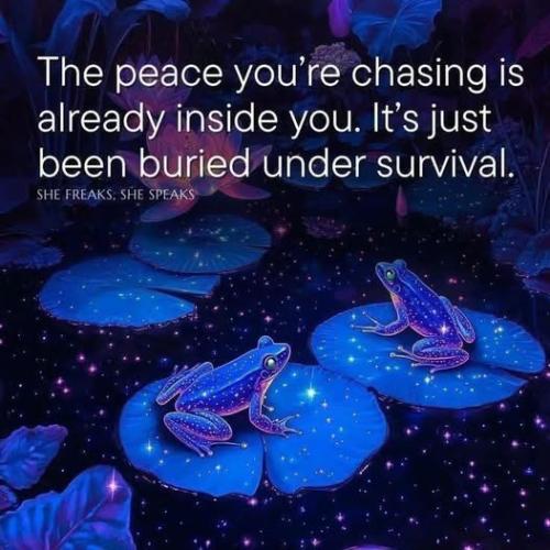 520419504_4010709332576001_8259183563687835260_n