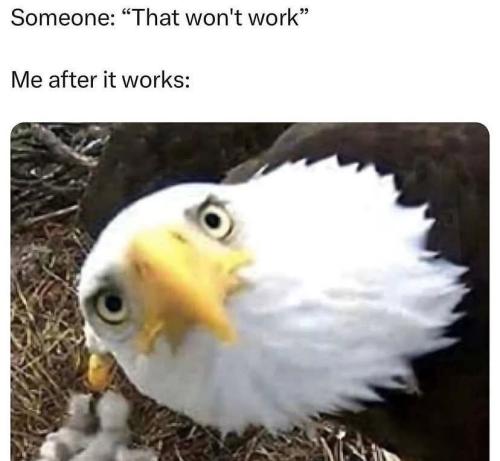 FB_IMG_1756151326188