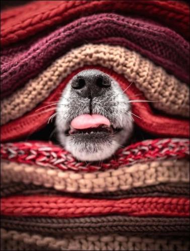 538372034_759603823444360_536428270618457649_n