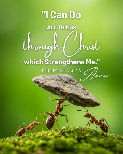 537996426_657328940757892_8867565145458161415_n