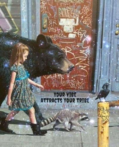 a8c0f7d1b04b2706417cdf5daeb77fd5