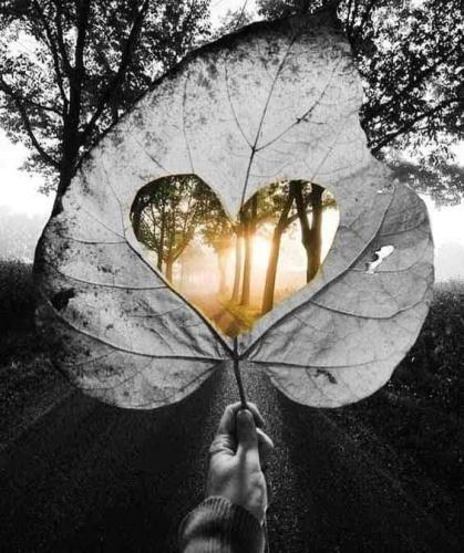 49edfc14ef4aa0b7f268f80696dd8a0c