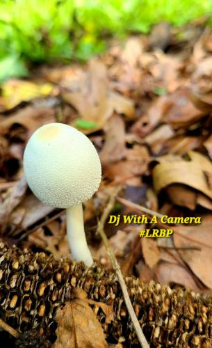 Screenshot_20250805_070029_Gallery