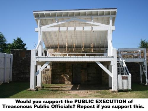 Would you support the PUBLIC EXECUTION of Treasonous Public Officials.768px
