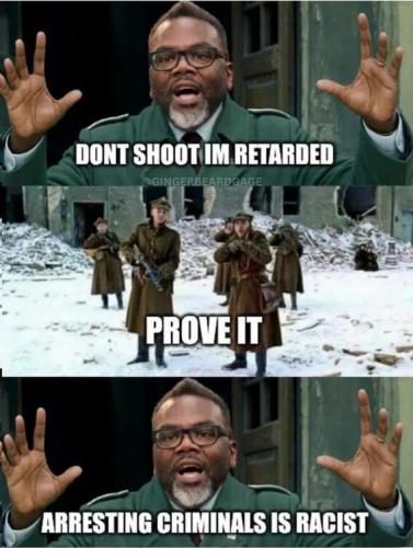 arresting-criminals-racist
