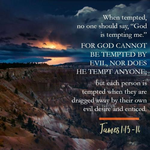 e0faf1a6-f181-47a6-bfa4-e23aea41025c