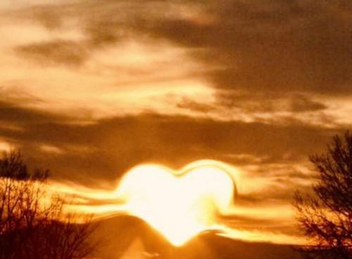 36bdd0c6-a1e6-4660-bd44-fbe0c3df8dca