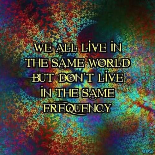 533736085_10162018042344958_5448337924848484627_n