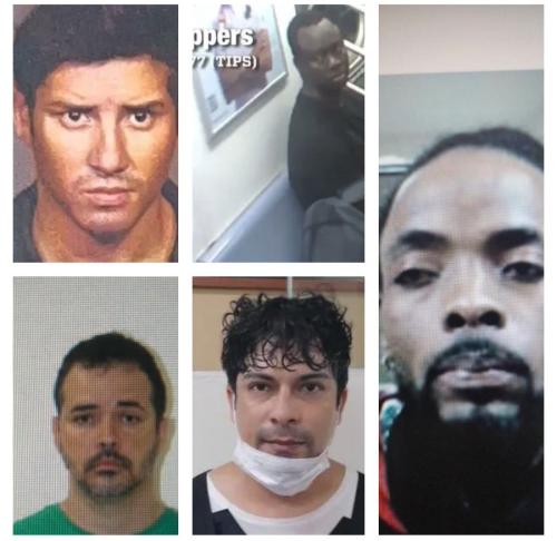 illegals killed and raped