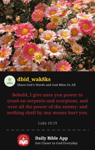 2025-08-281756421351911