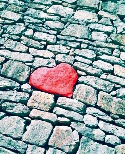 4a0ecc5f0027083c3c84db66e8fb5708