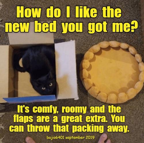 c743b14612d69de85b31db97c484609e