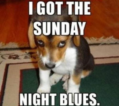 Screenshot_20250821_072228_Gallery