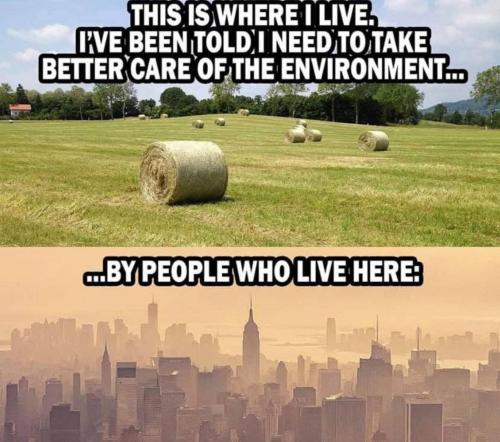 FB_IMG_1755865616094
