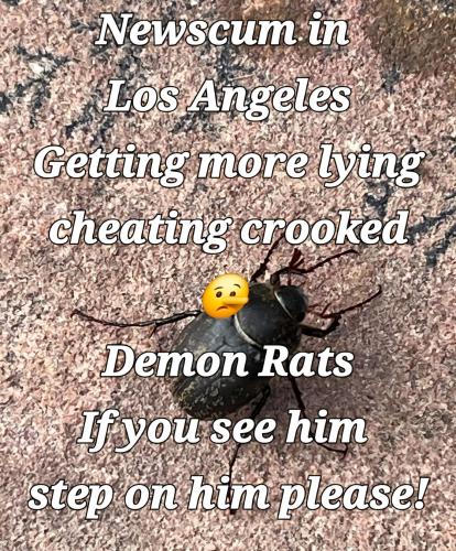 f7419d22-2def-45dc-8f0e-20fef858606b