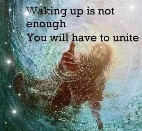 537377589_779132395002955_98529599795017330_n