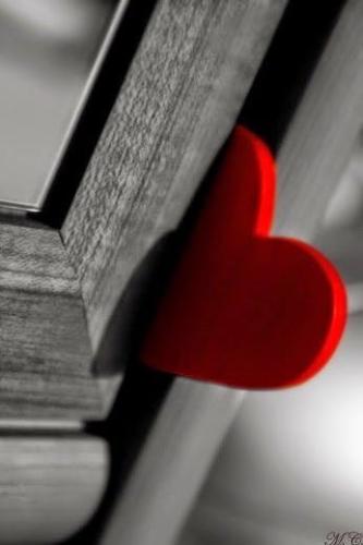 9bb22e4908c89449be48307d86a12917