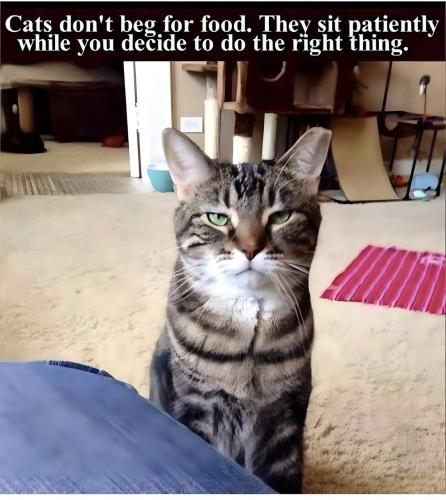 IMG_20250816_105556_115