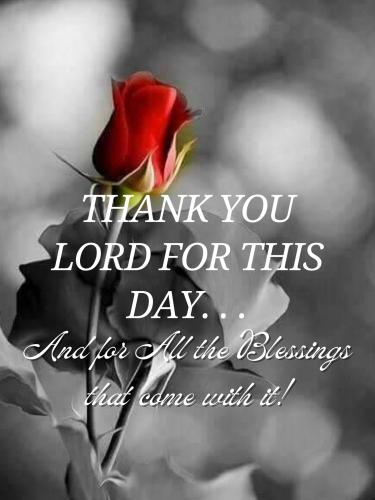 540937059_791691893365159_4616166080331415517_n