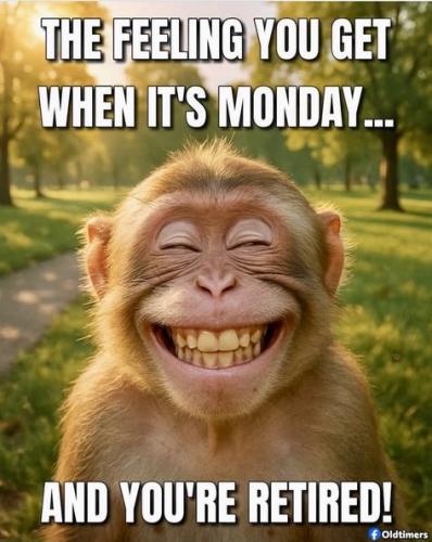 4a08d7b272714d9a43af4848ff435376