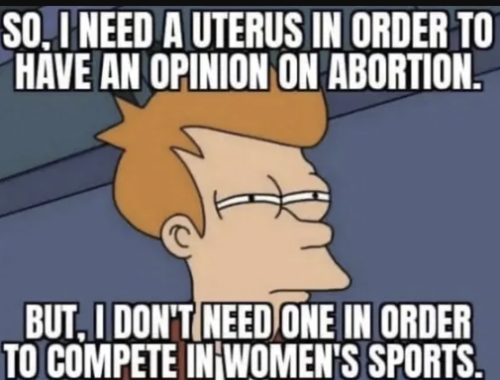 uterus