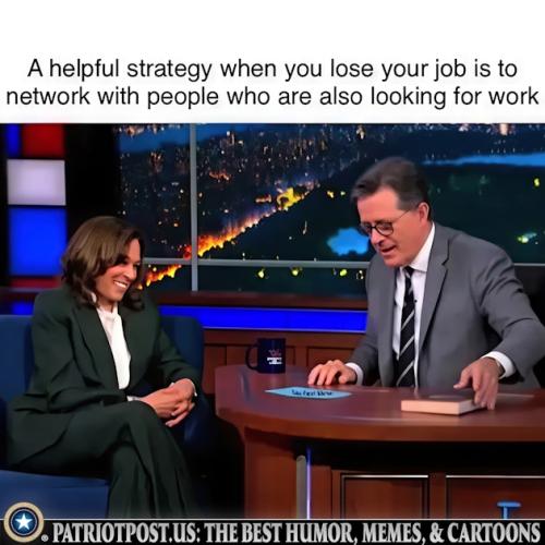 01K2CJX7GABX3WND3FMYWPS9JM