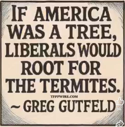 9AB40F9B-AF74-48B6-B681-98628B2B011B