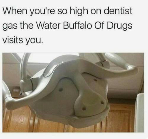 IMG_20250822_122144_412