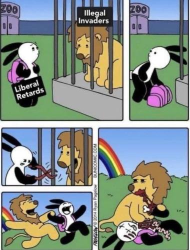 29abaa13-fa40-434c-b37b-8efabe8ea784