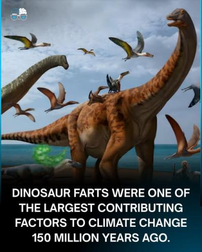 528645060_599646969885485_6491993198836375887_n