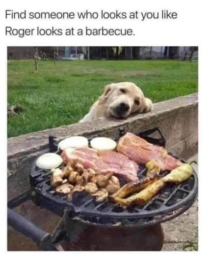 somebody-who-looks-at-you