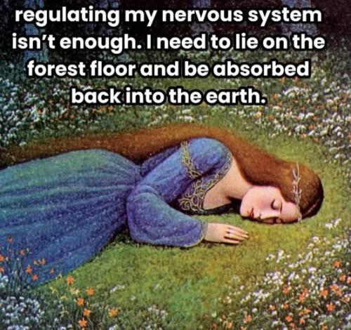 535889693_1309490864169703_6420179294457516508_n