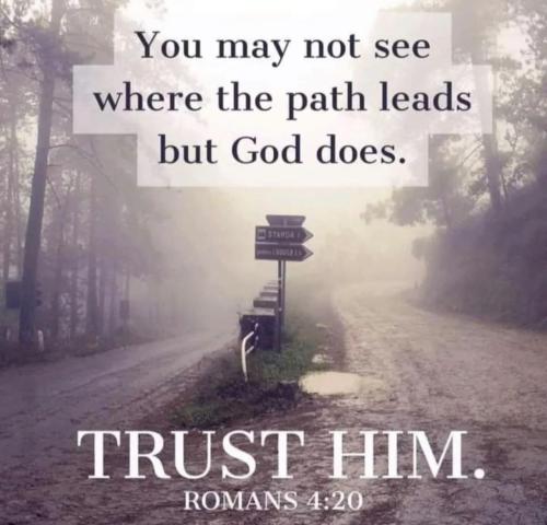 31a93df1-3559-4dc7-8ac3-de2b1f191e69