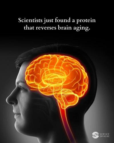 f0b6a2a4-8a4f-4453-a8a9-8862fc65b506