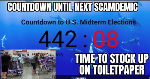 ZomboMeme 17082025181149