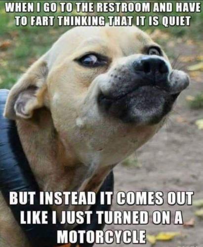 IMG_20250827_111409_341