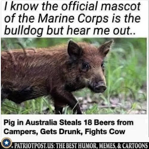 01K33KWK28NMGCM0GD0EVDSGCV