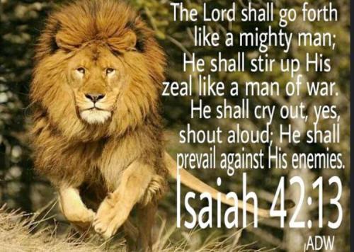 IMG_20250809_181411_594