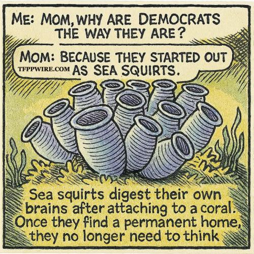 ebbef9f3-06ab-4ce1-8be7-39fecf0bc8a6