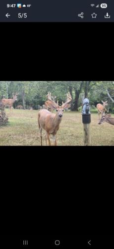 64ee1255-bf8c-4338-bf8e-6e9c8a40f679