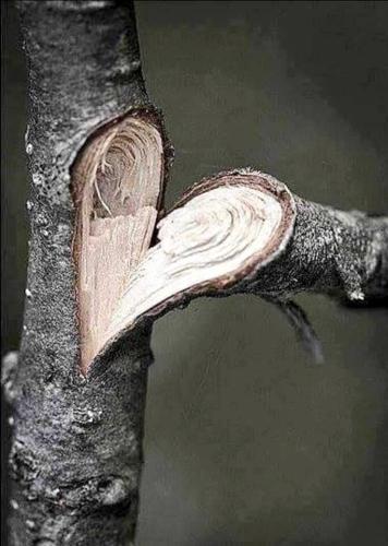 89c3c149ca85471d7f0a30e4e89f6fe5