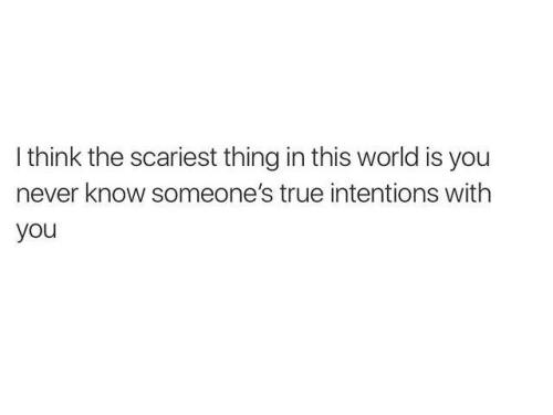 530388570_2269985493444348_6524560765649104960_n
