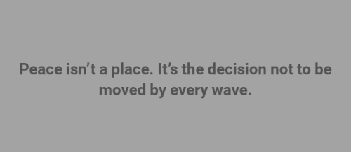 Screenshot 2025-08-12 8.42.24 AM