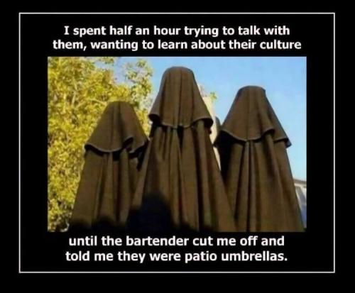 Patio Umbrellas and Goat Shaggers