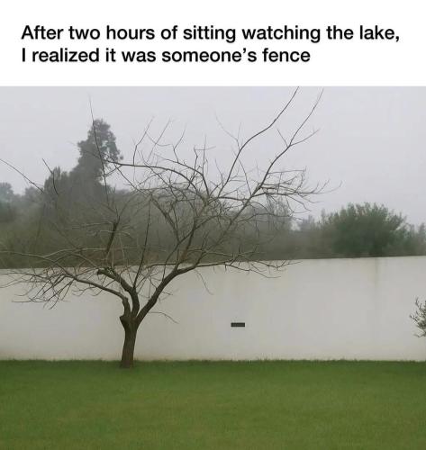 IMG_20250725_135234_809