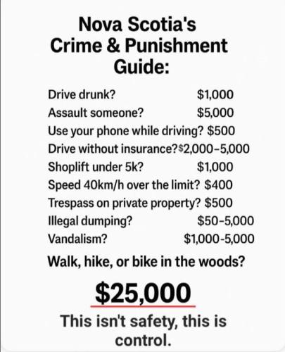 IMG_20250812_164419_193