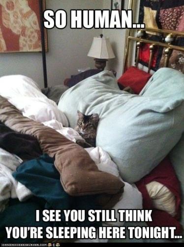 a478b514dccba00553fda17e2c4f1632