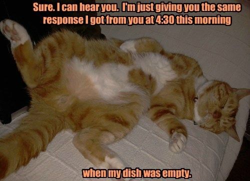 7452ba915786d7c9f988ce8adea808c6