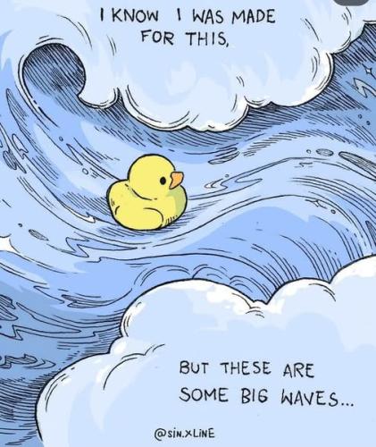 541792790_783861407863387_801938531131863812_n