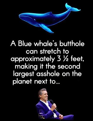 Low-536278827_4252451478316610_6668495520230453083_n-recover v2-0.8x-faceai v2